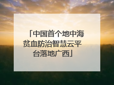 中国首个地中海贫血防治智慧云平台落地广西