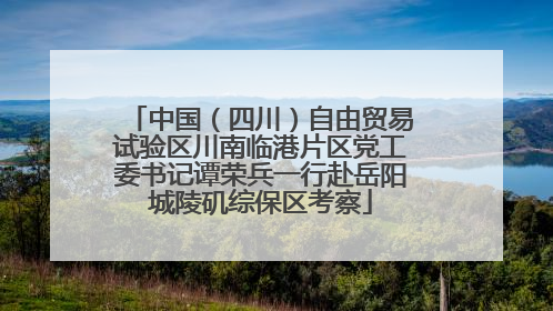 中国（四川）自由贸易试验区川南临港片区党工委书记谭荣兵一行赴岳阳城陵矶综保区考察