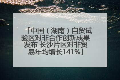 中国（湖南）自贸试验区对非合作创新成果发布 长沙片区对非贸易年均增长141%