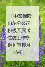 中宏保险山东分公司积极开展《信访工作条例》宣传月活动