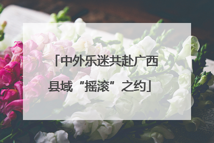 中外乐迷共赴广西县域“摇滚”之约