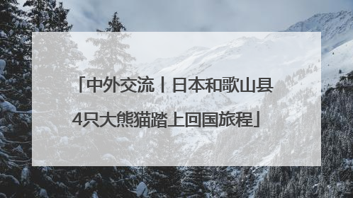 中外交流丨日本和歌山县4只大熊猫踏上回国旅程