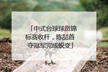 中式台球球员锦标赛收杆，陈喆首夺冠军完成蜕变