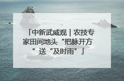 中新武威观｜农技专家田间地头“把脉开方”送“及时雨”