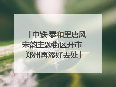 中铁·泰和里唐风宋韵主题街区开市 郑州再添好去处