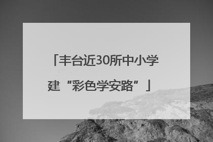 丰台近30所中小学建“彩色学安路”