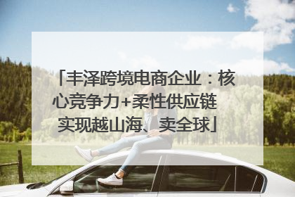 丰泽跨境电商企业：核心竞争力+柔性供应链 实现越山海、卖全球