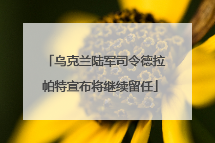乌克兰陆军司令德拉帕特宣布将继续留任