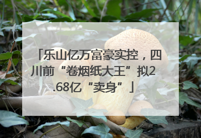 乐山亿万富豪实控，四川前“卷烟纸大王”拟2.68亿“卖身”