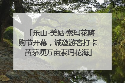 乐山-美姑·索玛花嗨购节开幕，诚邀游客打卡黄茅埂万亩索玛花海