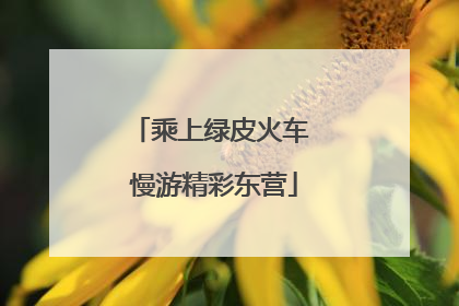 乘上绿皮火车 慢游精彩东营