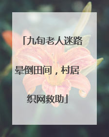 九旬老人迷路晕倒田间，村居织网救助