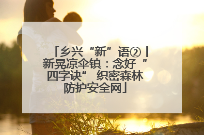 乡兴“新”语②丨新晃凉伞镇：念好“四字诀” 织密森林防护安全网