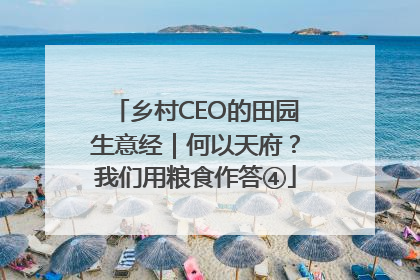 乡村CEO的田园生意经｜何以天府？我们用粮食作答④