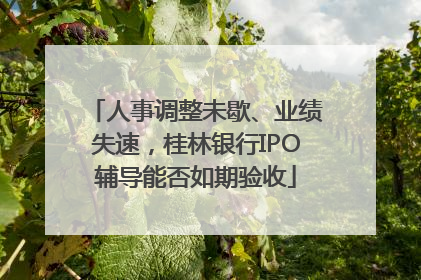 人事调整未歇、业绩失速，桂林银行IPO辅导能否如期验收