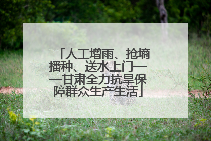 人工增雨、抢墒播种、送水上门——甘肃全力抗旱保障群众生产生活
