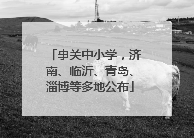 事关中小学，济南、临沂、青岛、淄博等多地公布