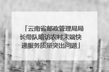 云南省邮政管理局局长带队暗访农村末端快递服务质量突出问题