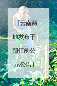 云南两地发布干部任前公示公告