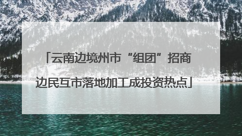 云南边境州市“组团”招商 边民互市落地加工成投资热点