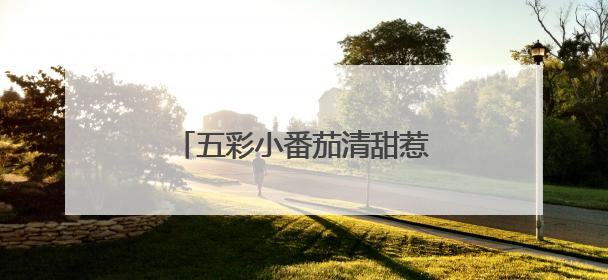 五彩小番茄清甜惹人爱，武汉种博会上好多“尖板眼”