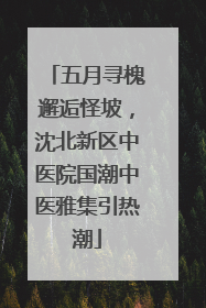 五月寻槐邂逅怪坡，沈北新区中医院国潮中医雅集引热潮