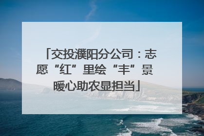 交投濮阳分公司：志愿“红”里绘“丰”景 暖心助农显担当