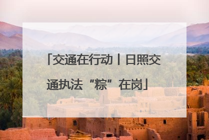 交通在行动丨日照交通执法“粽”在岗