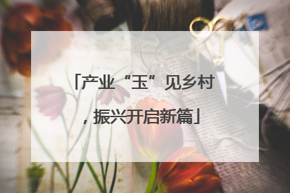 产业“玉”见乡村，振兴开启新篇
