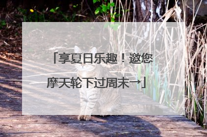 享夏日乐趣！邀您摩天轮下过周末→
