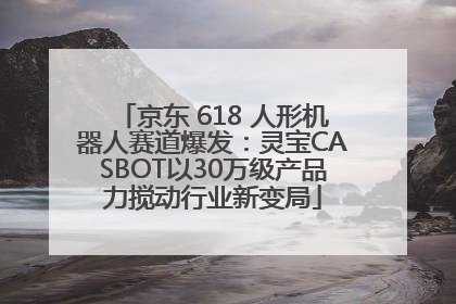 京东 618 人形机器人赛道爆发：灵宝CASBOT以30万级产品力搅动行业新变局