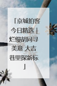 京城拍客今日精选｜烂缦胡同寻美意 大吉巷里探新标