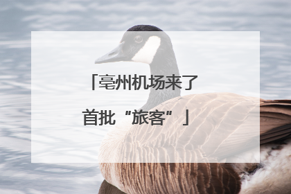 亳州机场来了首批“旅客”