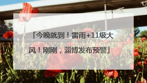 今晚就到！雷雨+11级大风！刚刚，淄博发布预警