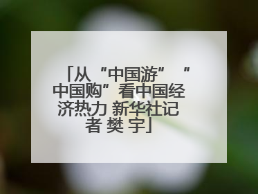 从“中国游”“中国购”看中国经济热力 新华社记者 樊 宇