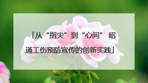 从“指尖”到“心间” 昭通工伤预防宣传的创新实践