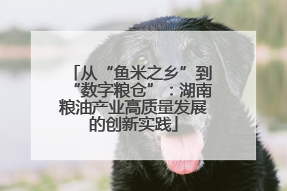 从“鱼米之乡”到“数字粮仓”：湖南粮油产业高质量发展的创新实践