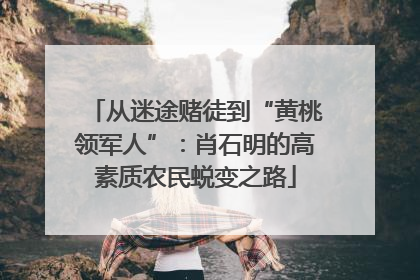 从迷途赌徒到“黄桃领军人”：肖石明的高素质农民蜕变之路