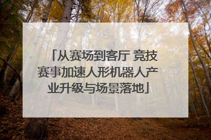 从赛场到客厅 竞技赛事加速人形机器人产业升级与场景落地