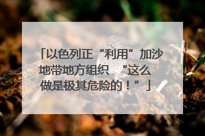 以色列正“利用”加沙地带地方组织  “这么做是极其危险的！”
