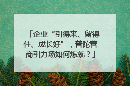 企业“引得来、留得住、成长好”，普陀营商引力场如何炼就？