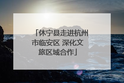 休宁县走进杭州市临安区 深化文旅区域合作