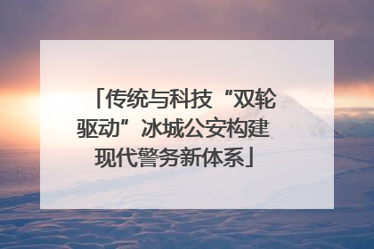 传统与科技“双轮驱动”冰城公安构建现代警务新体系