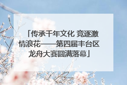 传承千年文化 竞逐激情浪花——第四届丰台区龙舟大赛圆满落幕