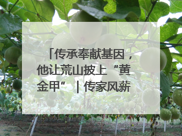 传承奉献基因，他让荒山披上“黄金甲”｜传家风薪火 颂家国情深