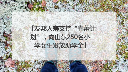 友邦人寿支持“春蕾计划”，向山东250名小学女生发放助学金