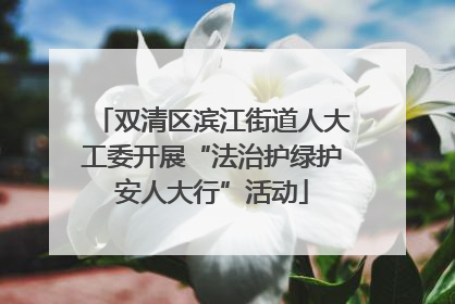 双清区滨江街道人大工委开展“法治护绿护安人大行”活动