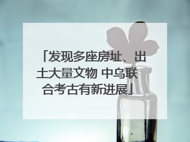 发现多座房址、出土大量文物 中乌联合考古有新进展