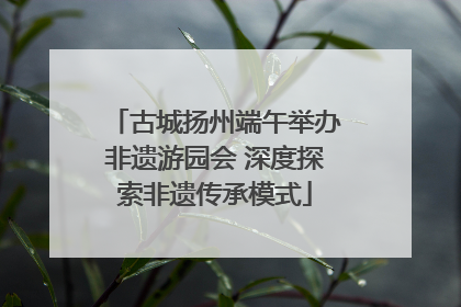 古城扬州端午举办非遗游园会 深度探索非遗传承模式
