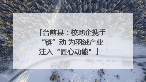 台前县：校地企携手“链”动 为羽绒产业注入“匠心动能”